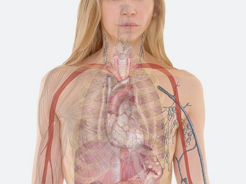 운전연수 후기