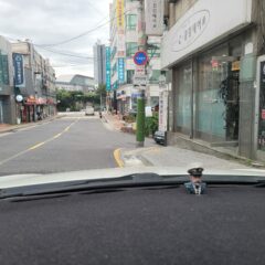 혼자 출근했어요
