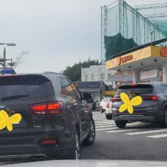 장롱 탈출이요~
